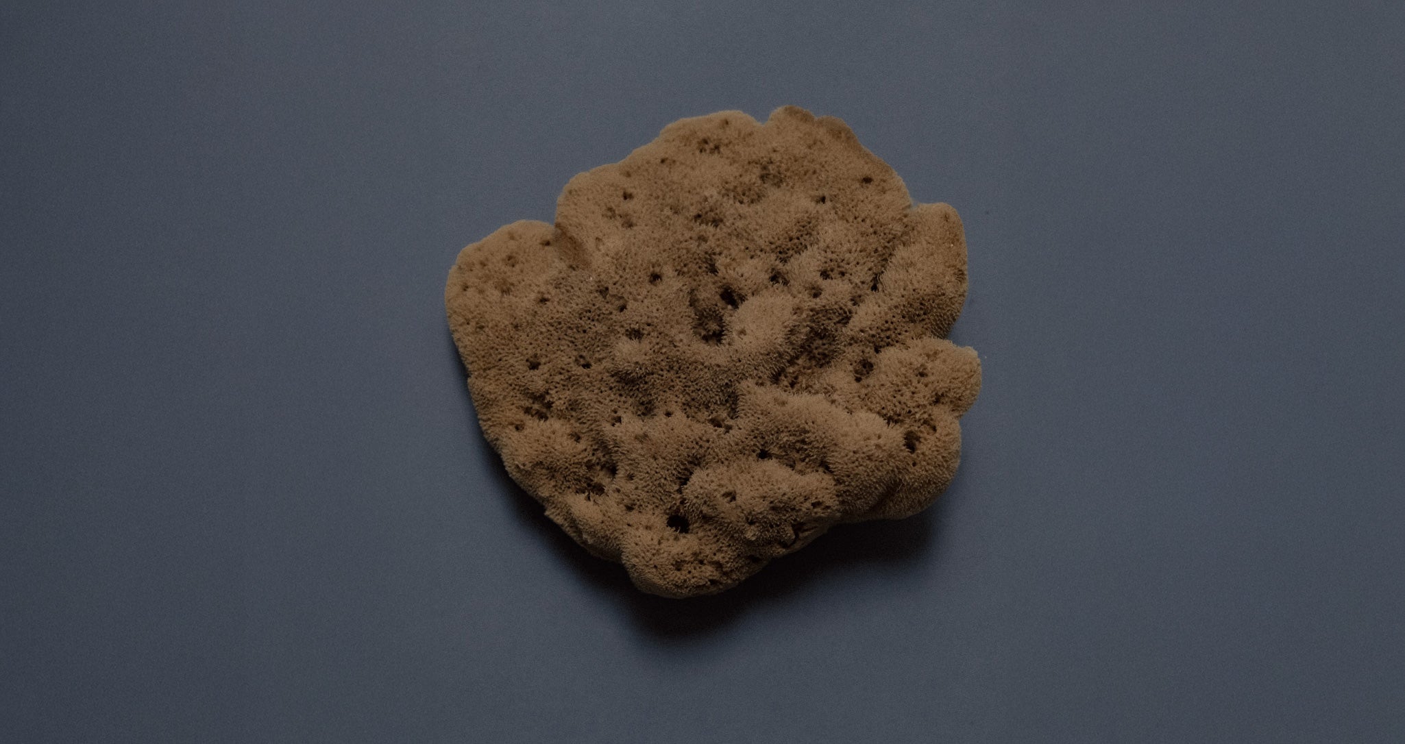 collagen-for-Perimenopause